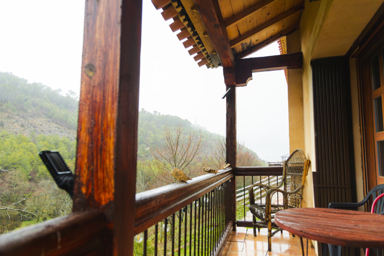 mirabueno-5-febrero-2026-34