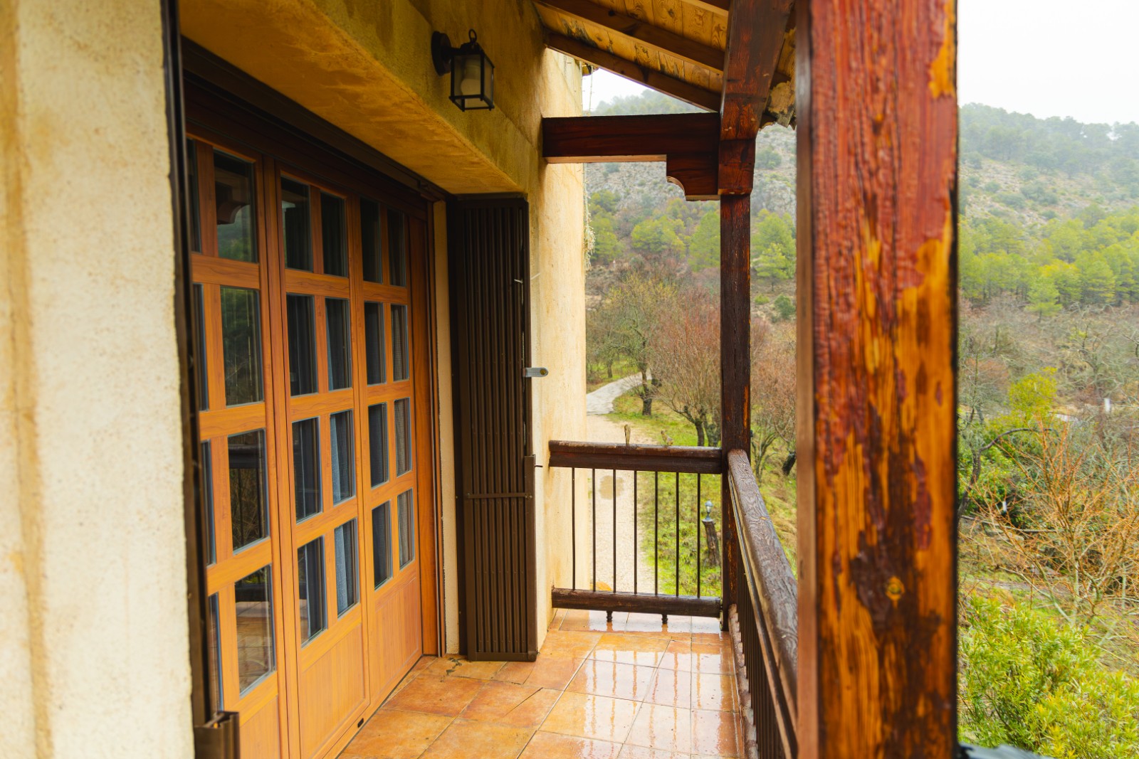 mirabueno-5-febrero-2026-35