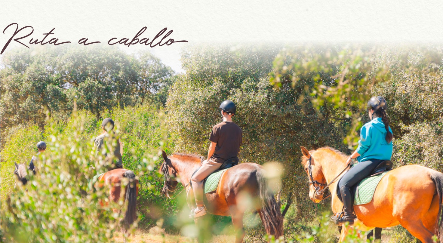 caballos